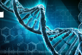 Pelle D'oro: Epigenetica e invecchiamento