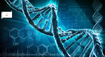 Pelle D'oro: Epigenetica e invecchiamento